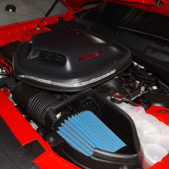 Meet your Posher, Roger - Picture 1 of 1